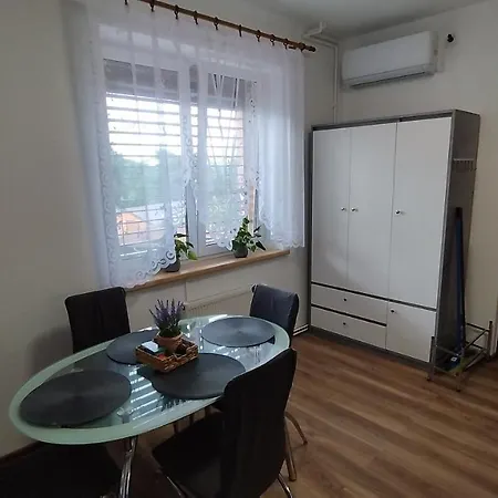 Apartment Amsel Ostrov (Karlovy Vary)